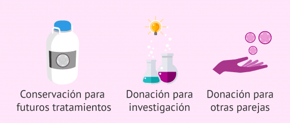 Qué se puede hacer con los embriones que sobran