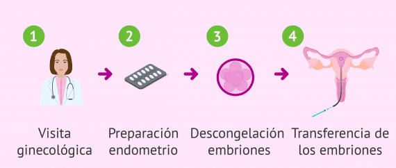 Pasos de la embrioadopción