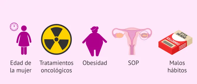 Qué es la reserva ovárica y cómo influye en la fertilidad femenina?