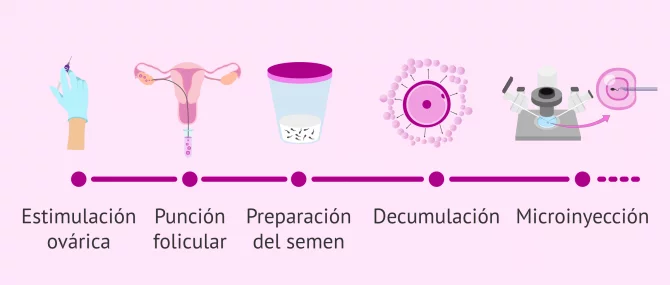 Imagen: ICSI
