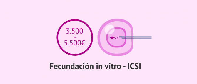 Imagen: Coste del ICSI