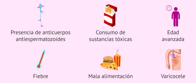 Imagen: Causas de los problemas de movilidad o astenozoospermia