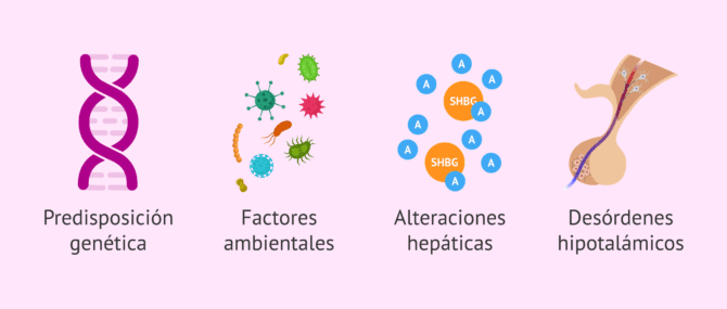 Imagen: ¿Qué incrementa el riesgo de SOP?