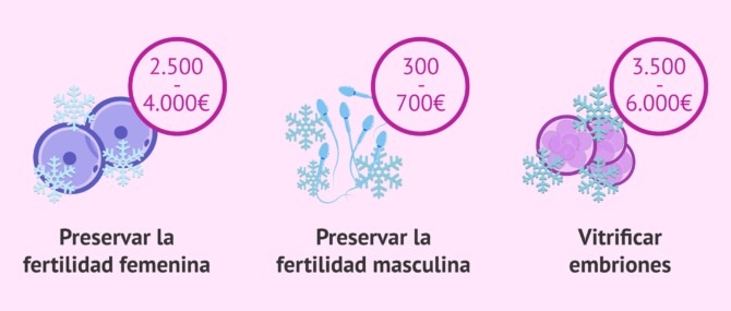 Imagen: ¿Cuánto cuesta preservar la fertilidad?