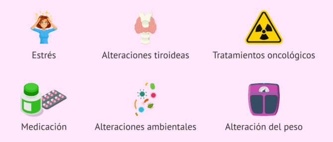 Imagen: ¿Por qué ocurren los problemas de ovulación en la mujer?
