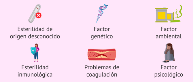 Imagen: Otros motivos que pueden causar esterilidad en la mujer