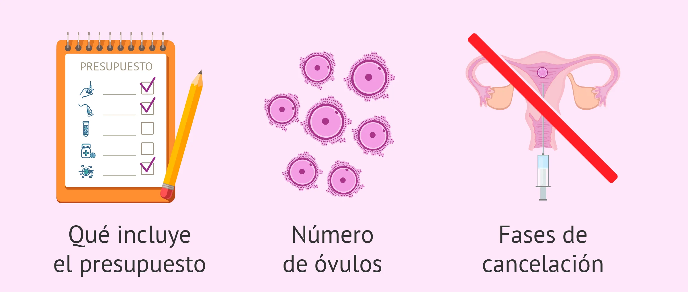 ¿Qué precio tiene una FIV con donación de óvulos?