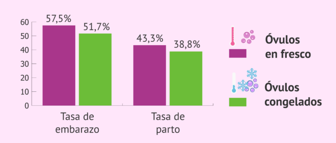 Imagen: Porcentaje de gestación con ovodonación