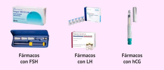 Imagen: Fármacos de las gonadotropinas