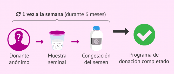 Imagen: Obtención de la muestra de un donante de semen