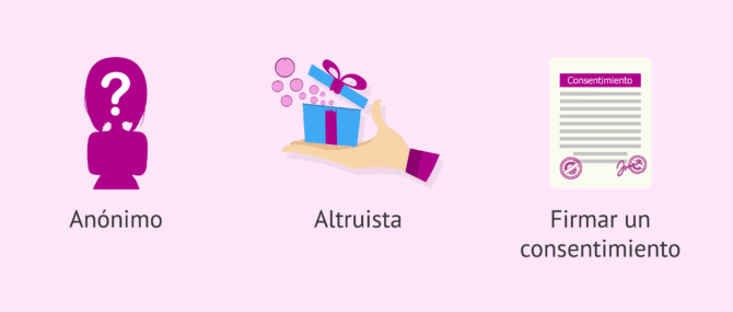 Imagen: Requisitos legales para donar óvulos