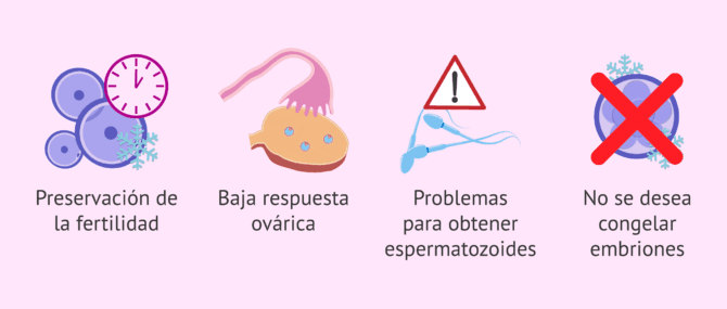 Aplicaciones de la vitrificación de óvulos