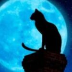 Foto del perfil de Nekyo