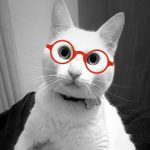 Foto del perfil de VivianandreaG1